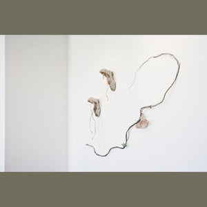 Installation of Shoe and Vine Sculptures
