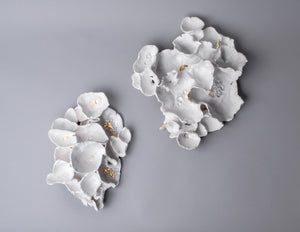 Mare Flores (Sea Flowers)